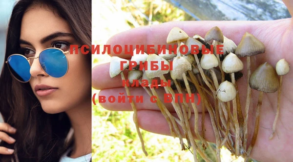 синтетический гашиш Арсеньев
