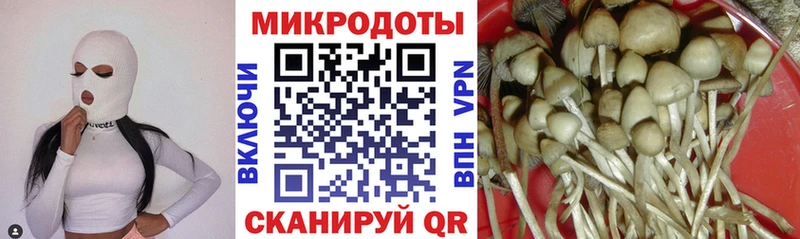 Псилоцибиновые грибы ЛСД  Инсар 